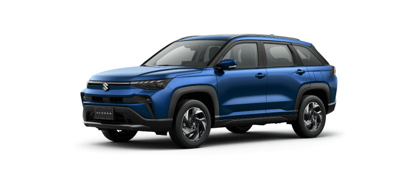 SUZUKI_Across-color